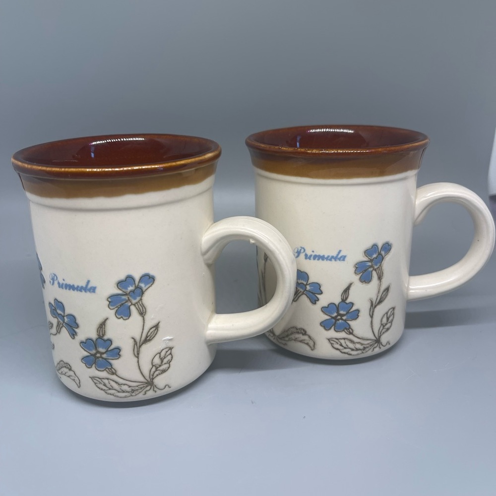 Vintage Biltons Mug Set Of 2 Made In England Brown Blue